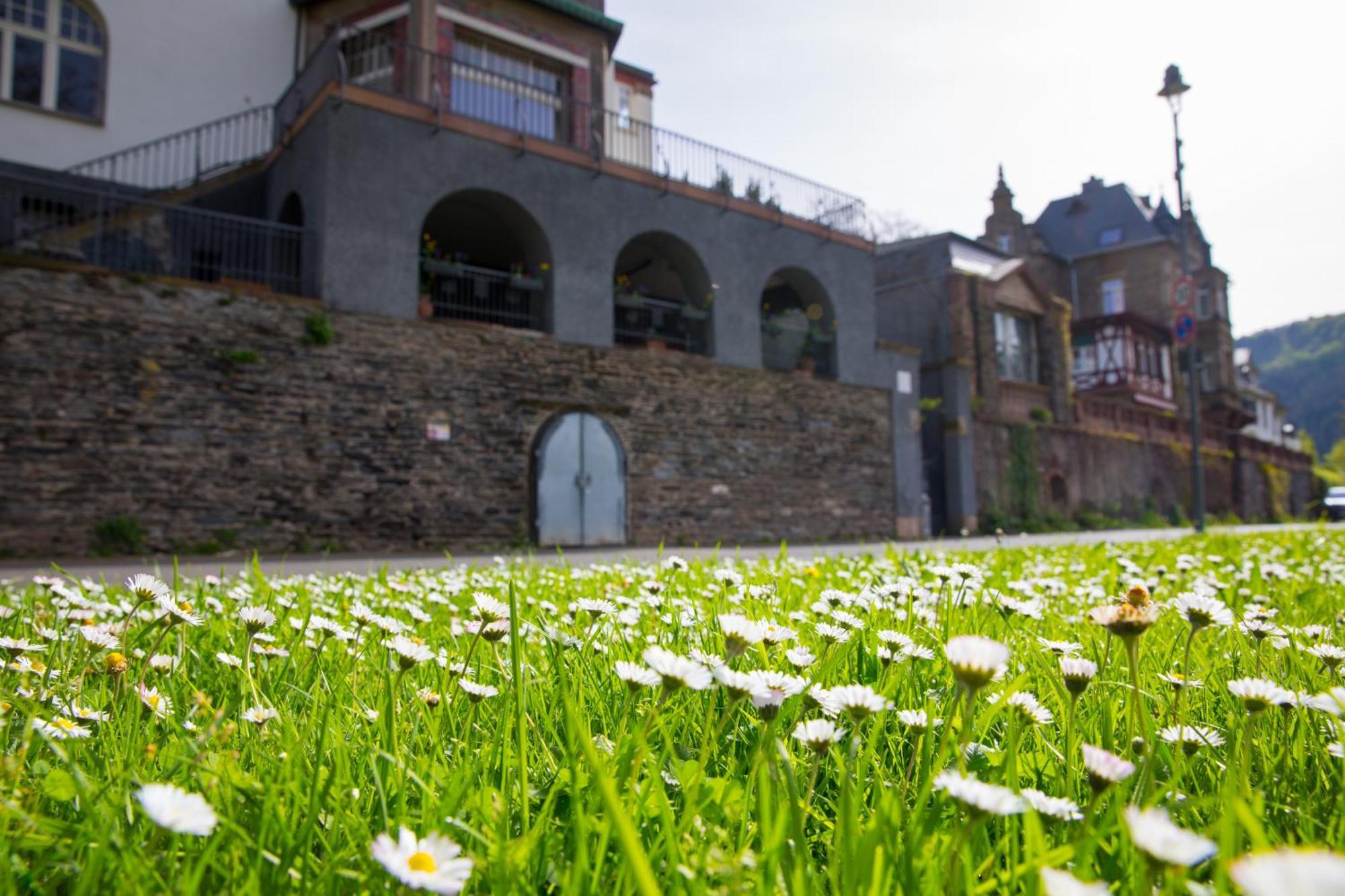 Neu - Moselauszeit Traben Appartement Buitenkant foto